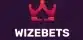 Wizebets Logo