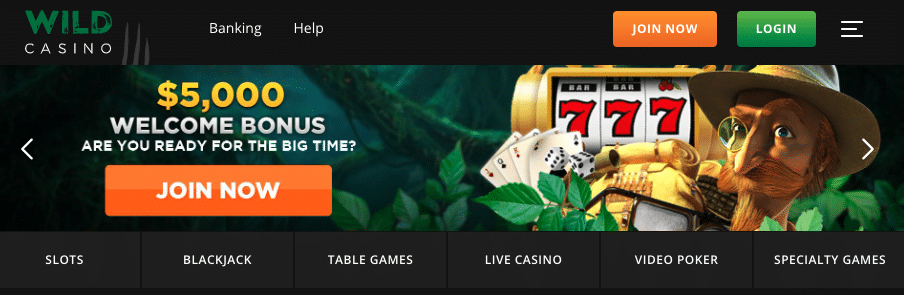 Nieuwe online casino bonussen bij wild casion